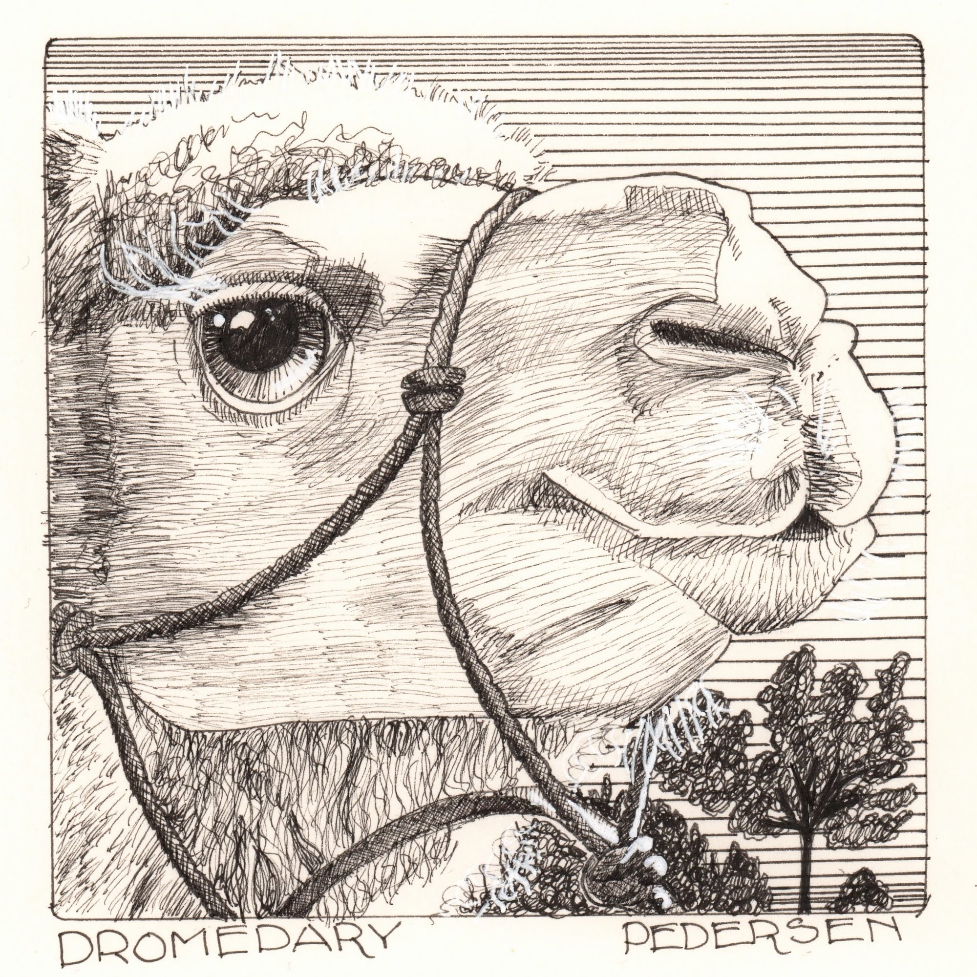 Camel Ink Drawing