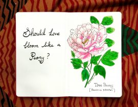 Should love bloom like a peony