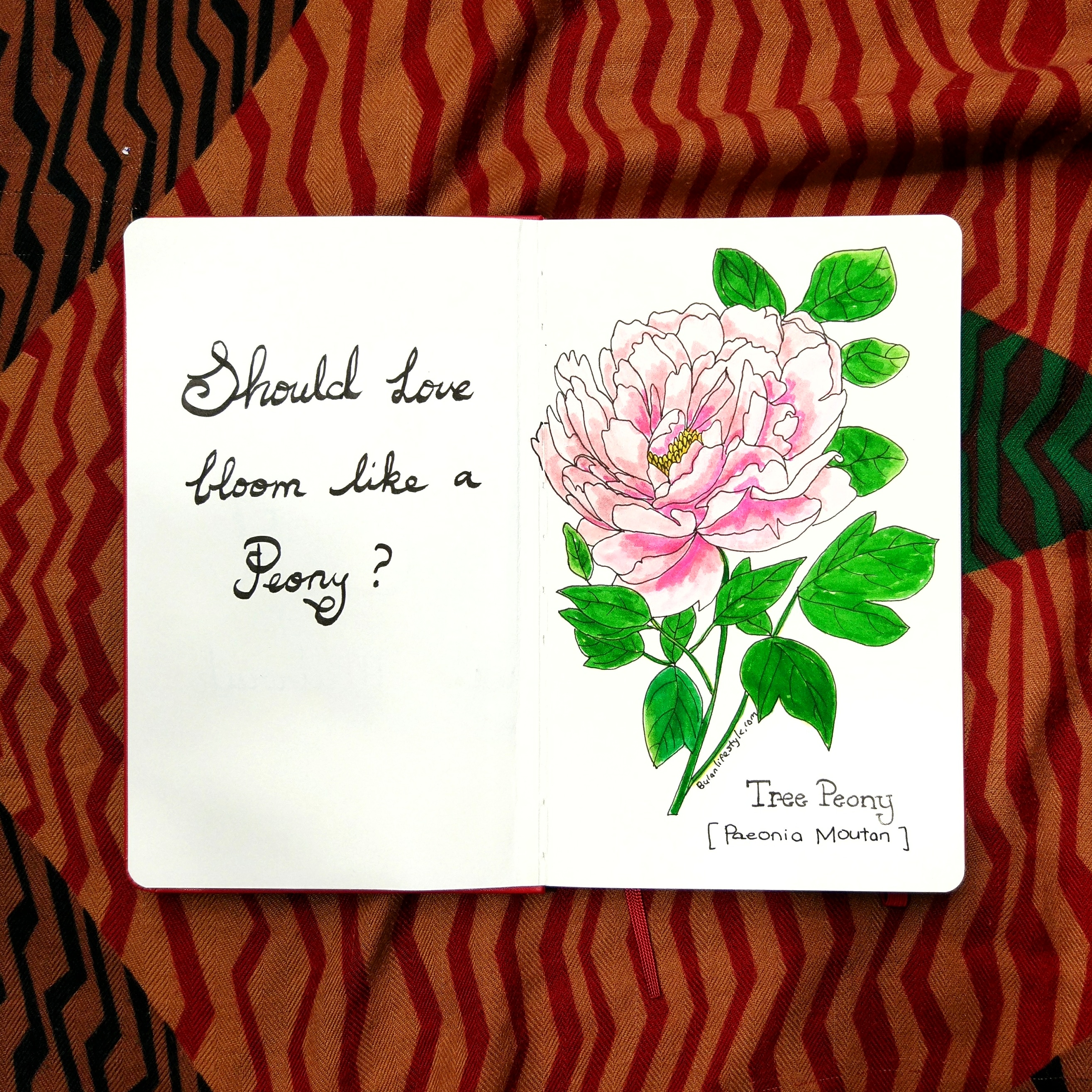 Should love bloom like a peony