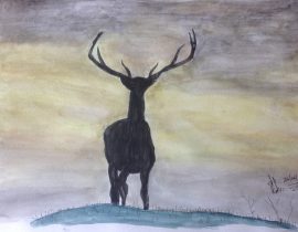 Stag in sunset, Scotland