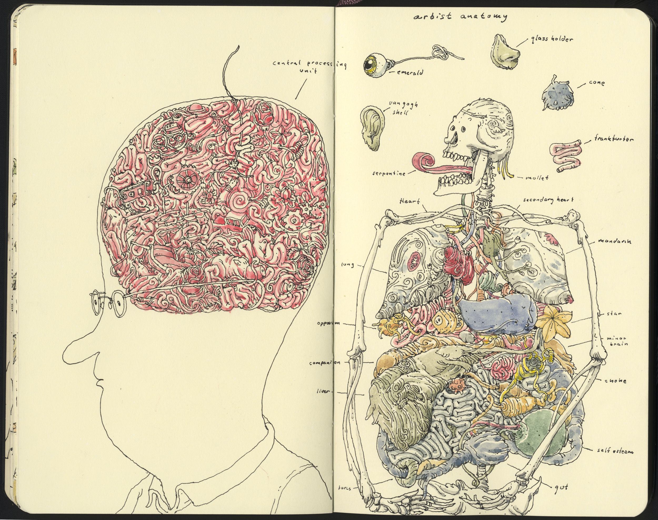 Artist anatomy