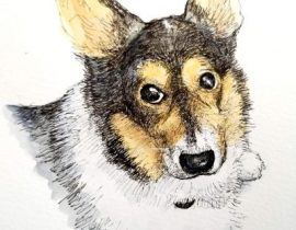 My Corgi