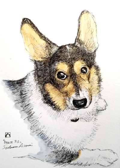 My Corgi