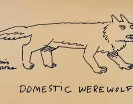 Domestic Werewolf