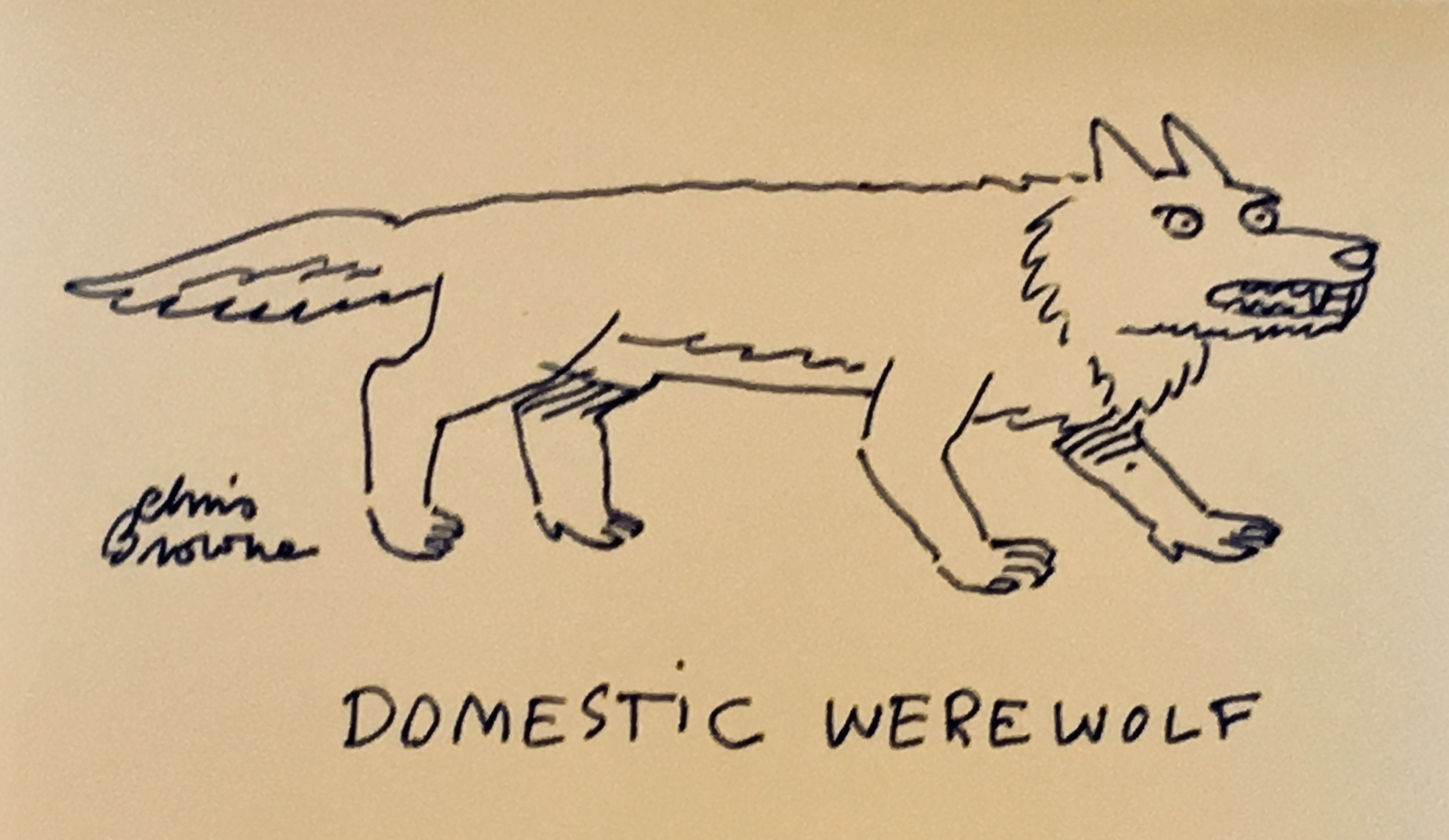 Domestic Werewolf