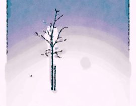 lonely tree