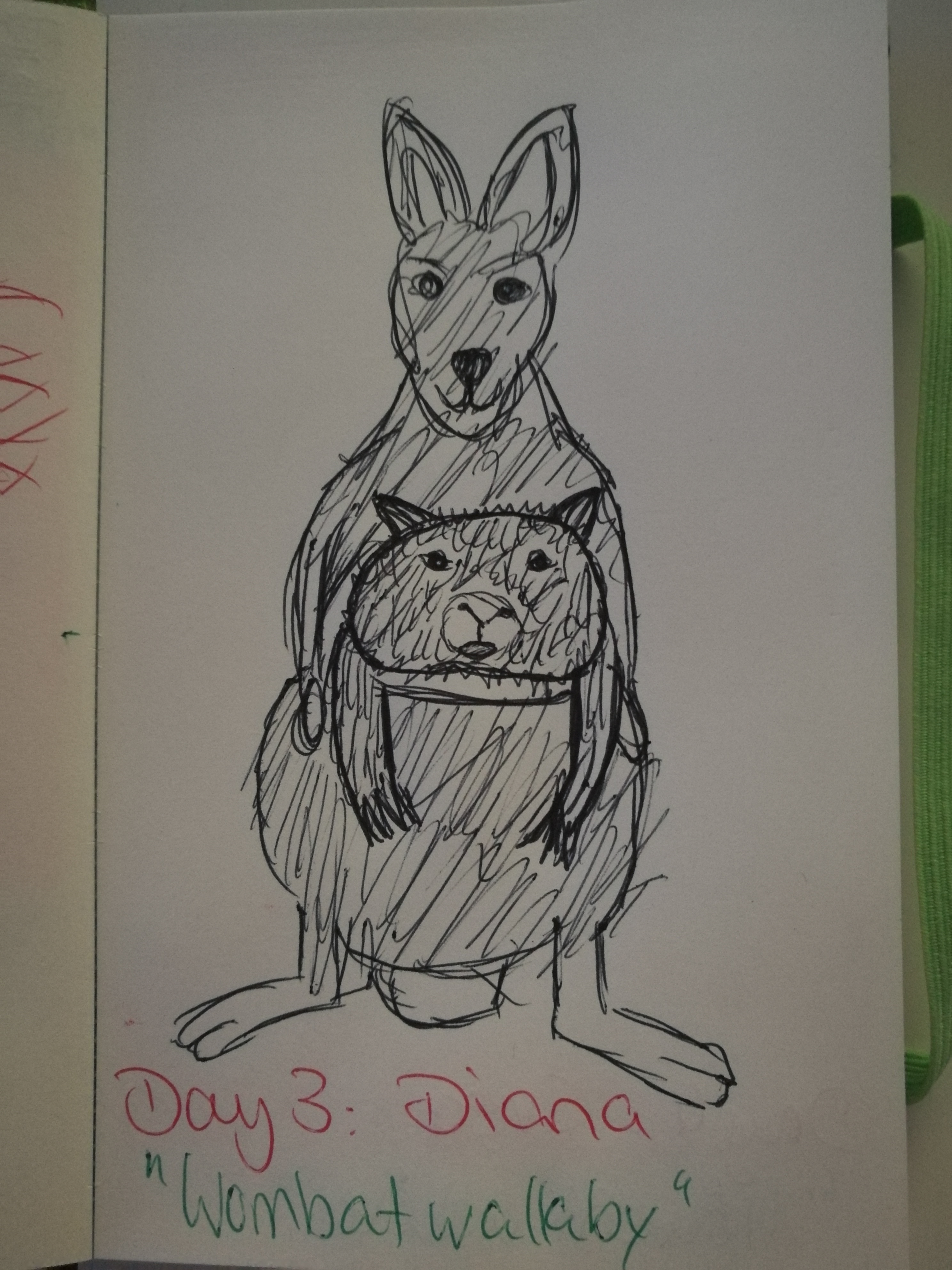 “Wombat-Wallaby”