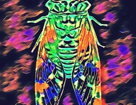 neon cicada