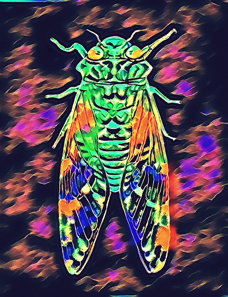 neon cicada