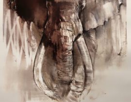 elephant, draft