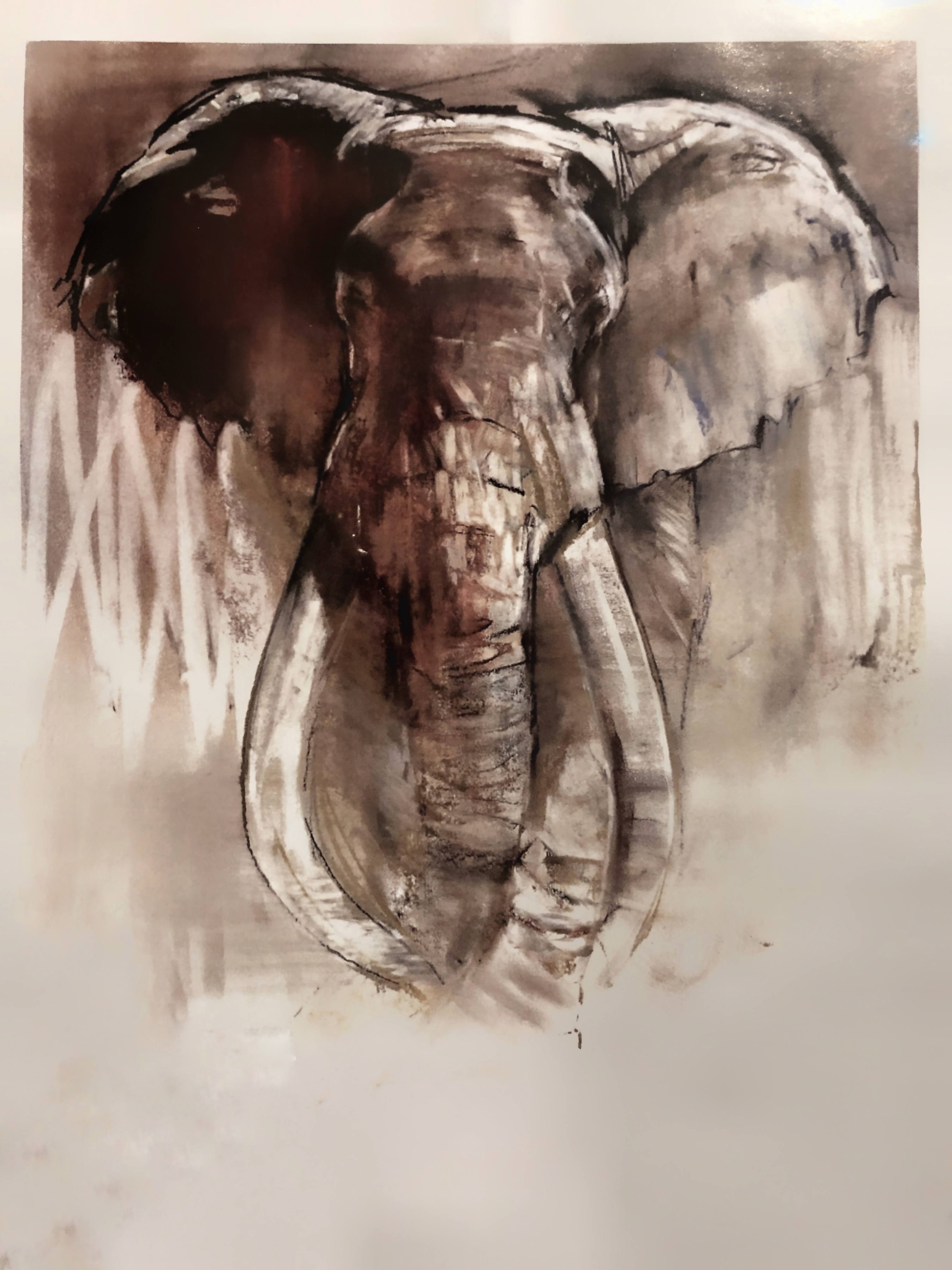 elephant, draft