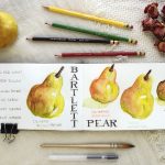 Bartlett Pear