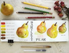 Bartlett Pear