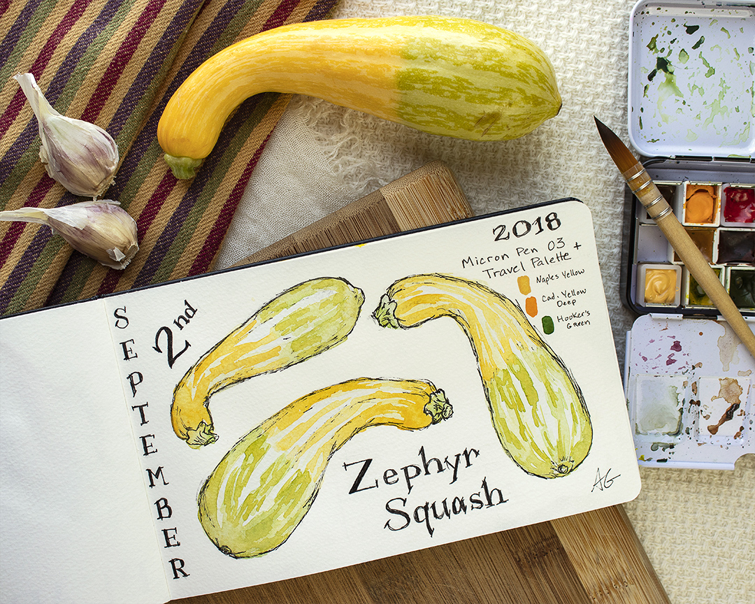 Zephyr Squash