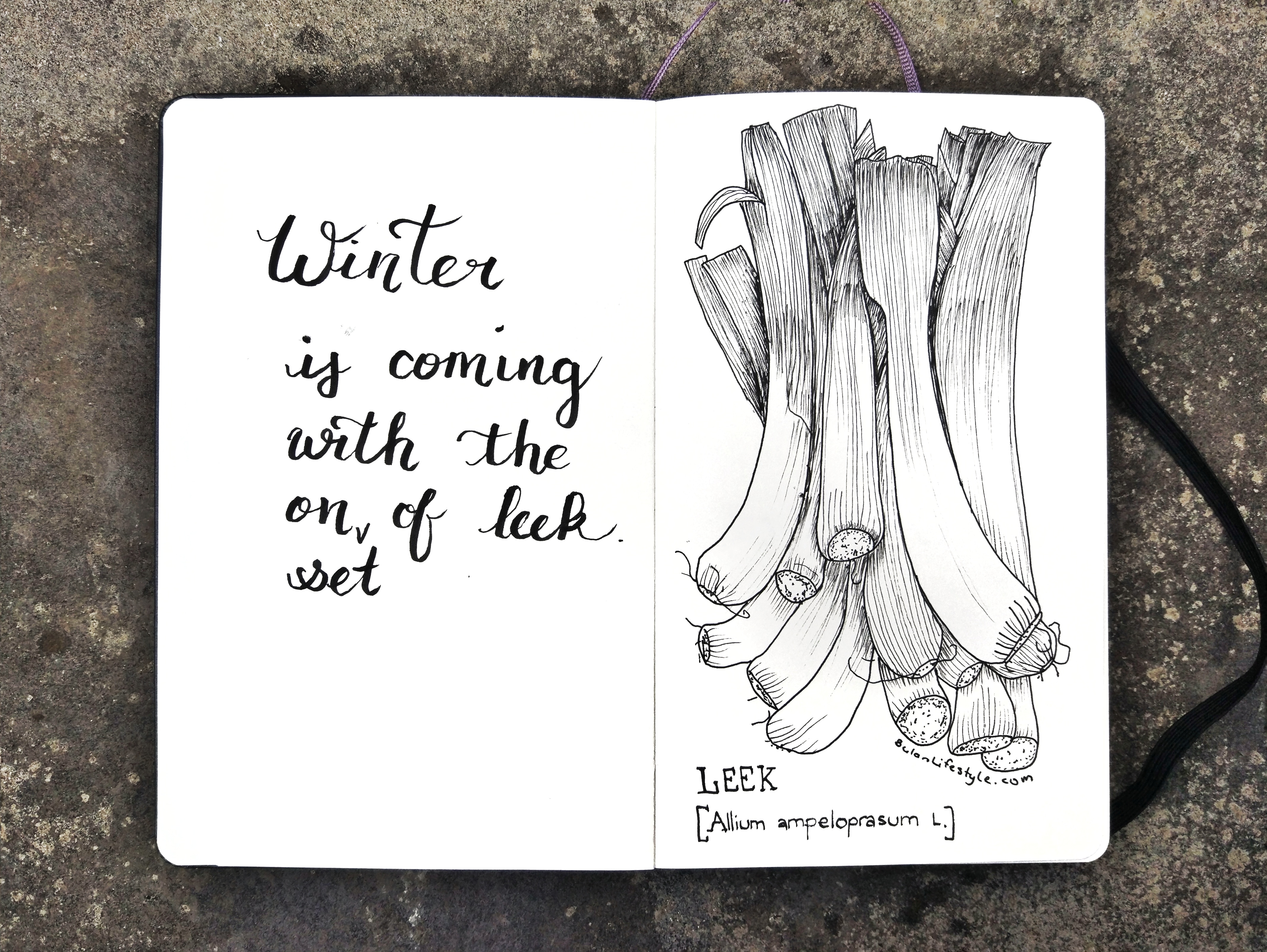 Winter is coming with the onset of leek