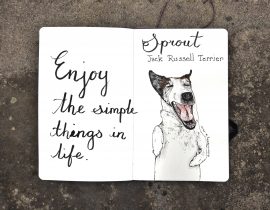 Enjoy the simple things in life.