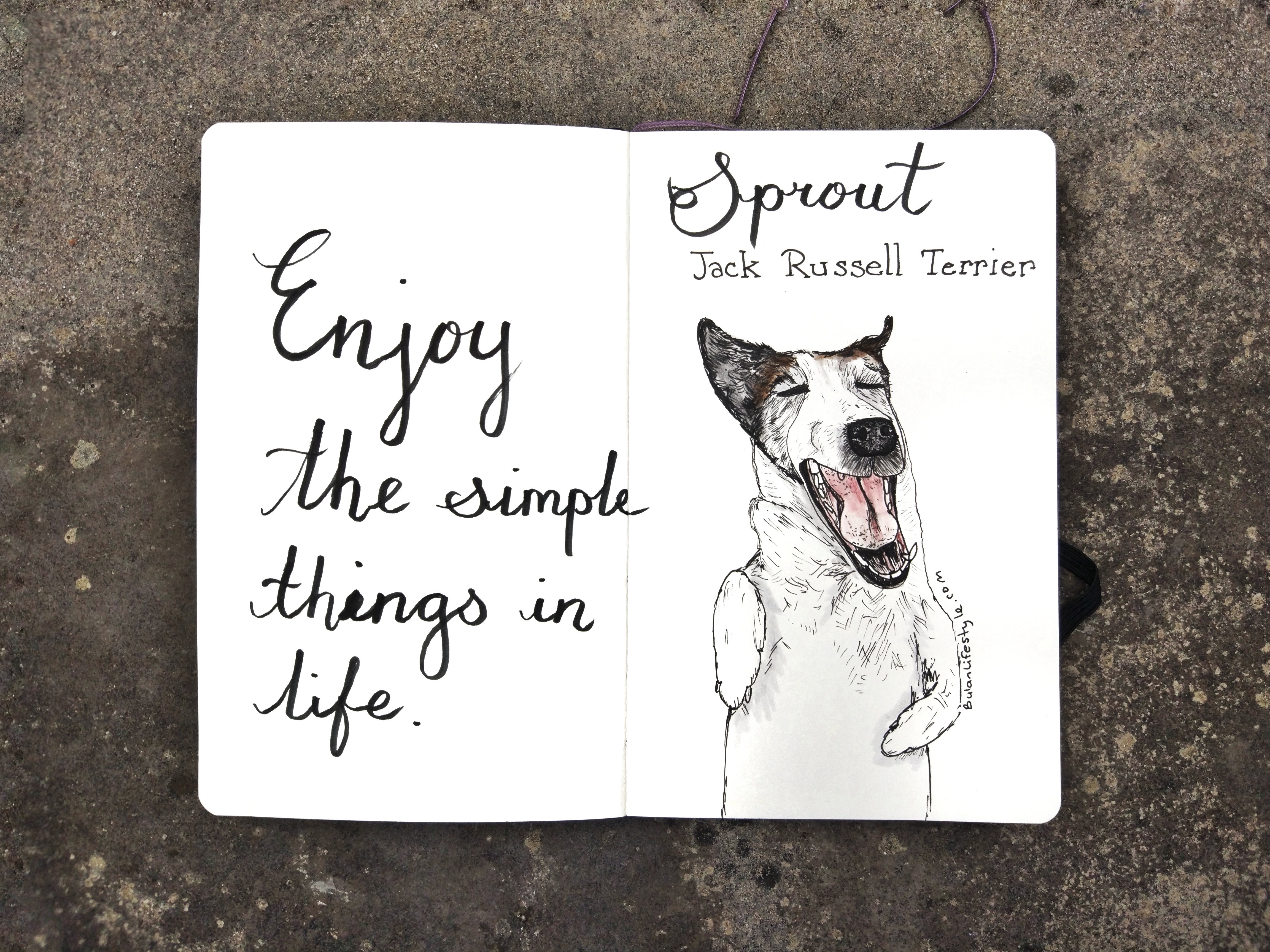 Enjoy the simple things in life.