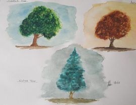 trees