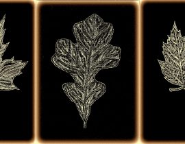 leaves triptych