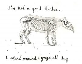 I’m not a good hunter… I stand around and graze all day