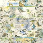 Nature journey – Sketchbook 5