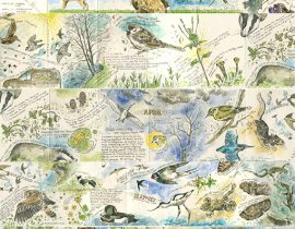 Nature journey – Sketchbook 5