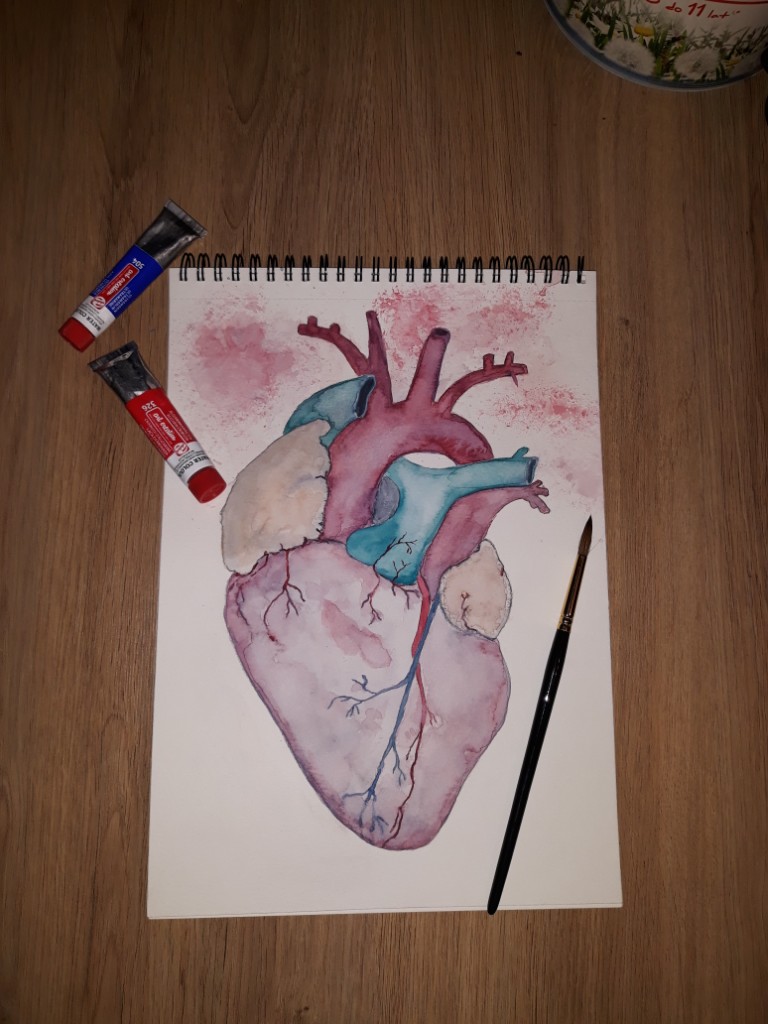 Heart