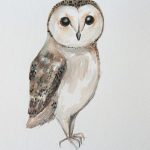 Owl!
