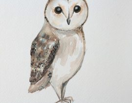 Owl!