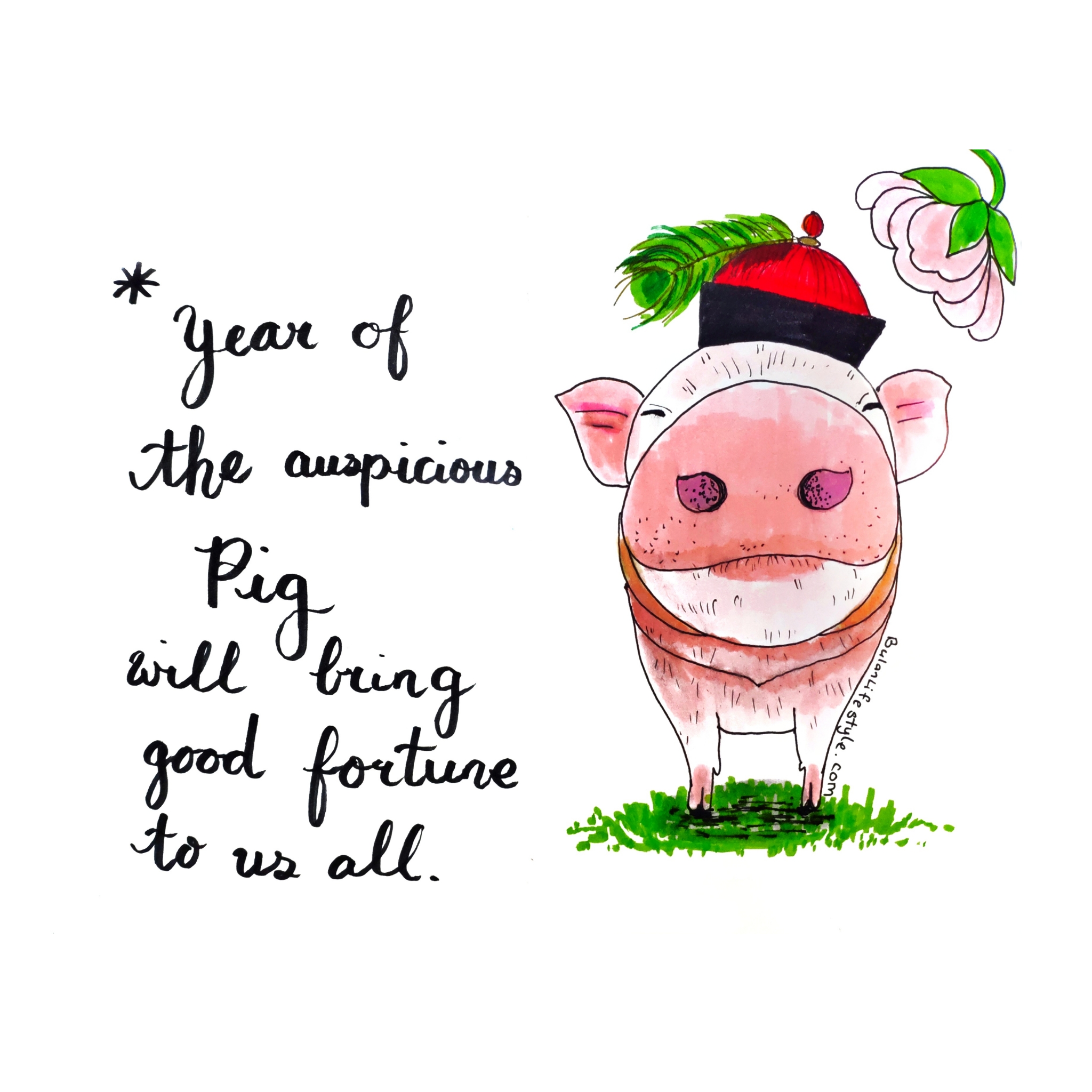 Year of the auspicious pig will bring good fortune to us all.