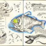 Moleskine Sketch Book 2016