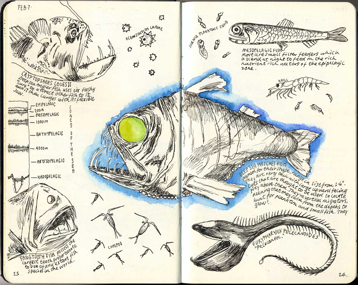 Moleskine Sketch Book 2016