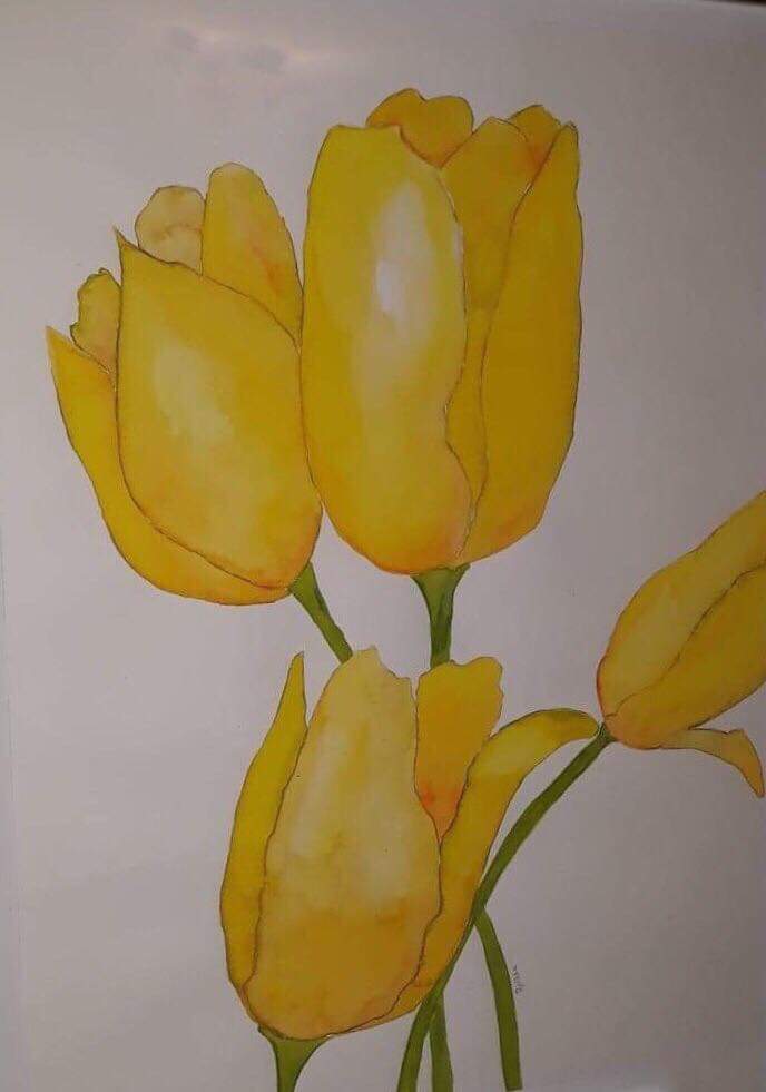 Tulips