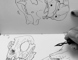 Cranium Ink Work