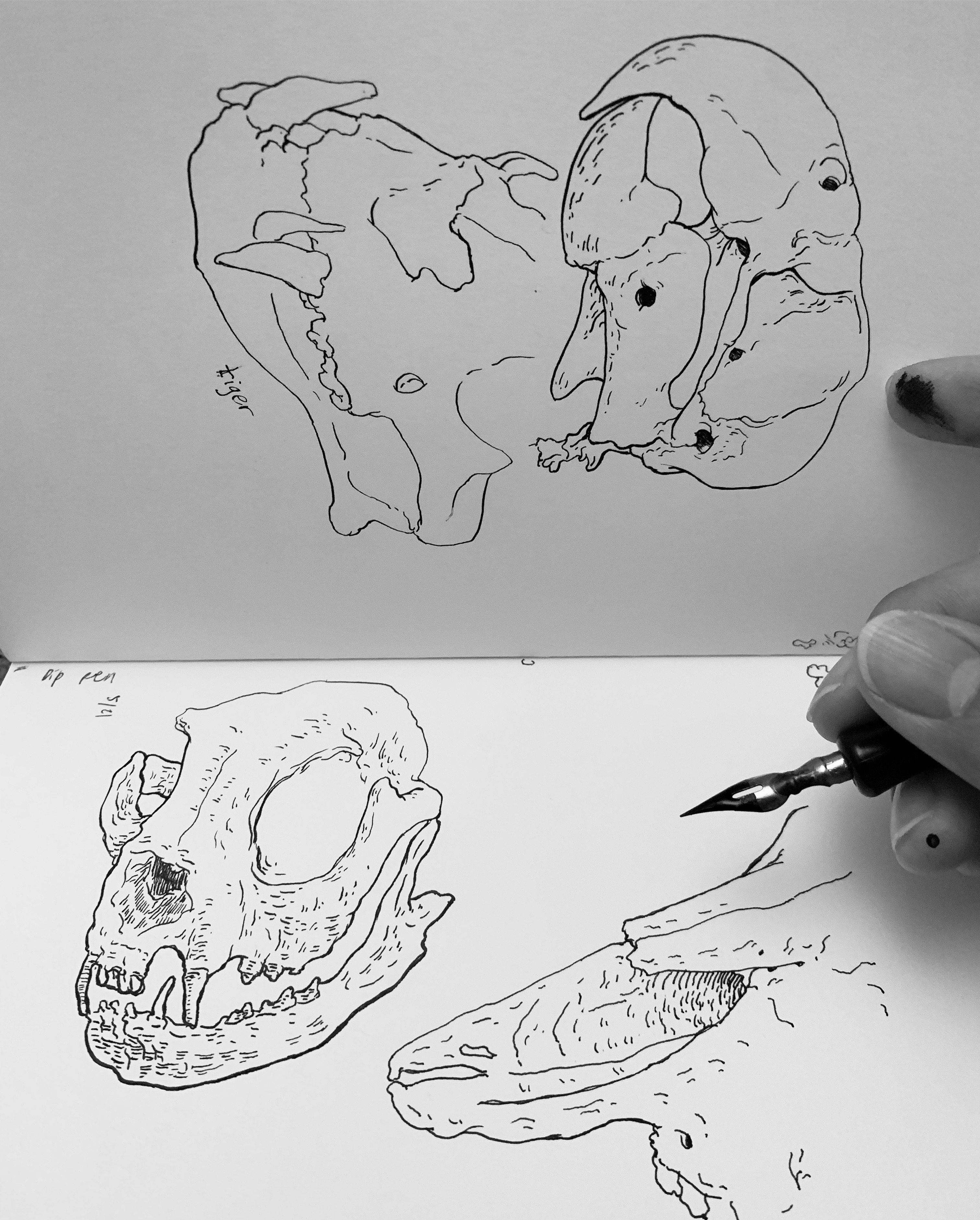 Cranium Ink Work