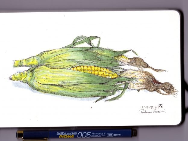 Corn