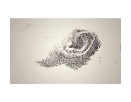 study of human ear