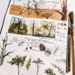 Pressliz x Moleskine | forest inspired