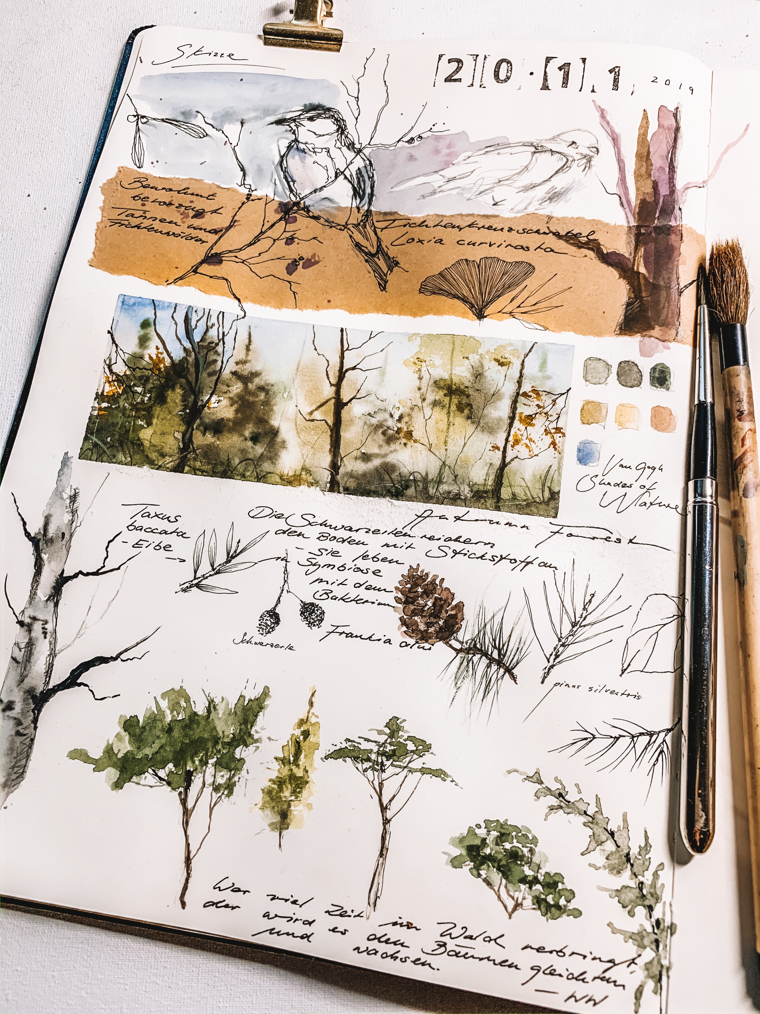 Pressliz x Moleskine | forest inspired