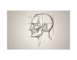 study of skull, A