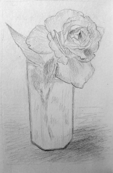 Sketch of the rose