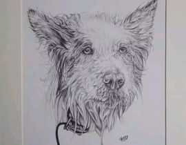 Dog Portrait Commission