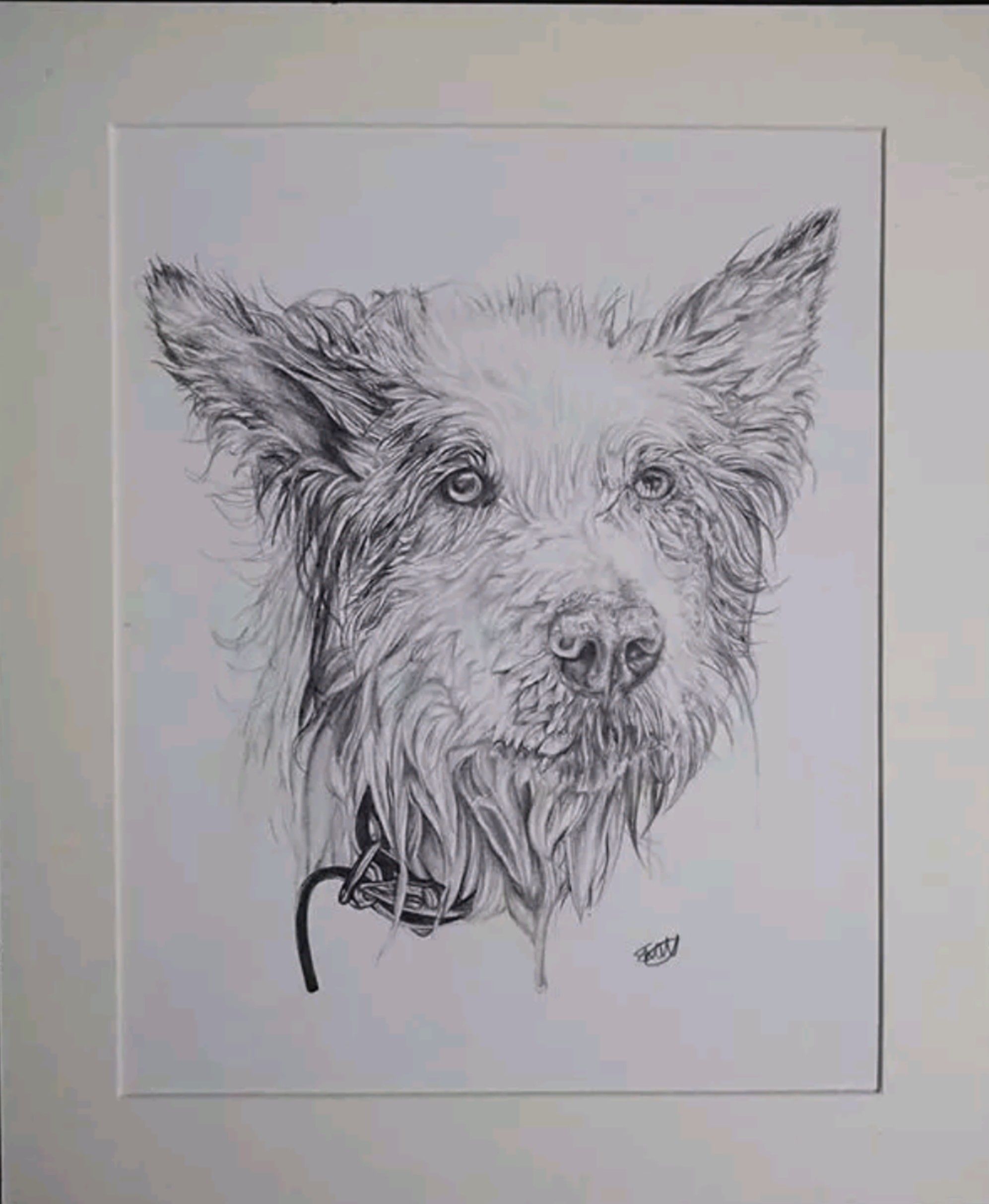 Dog Portrait Commission