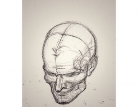 anatomical study of skull