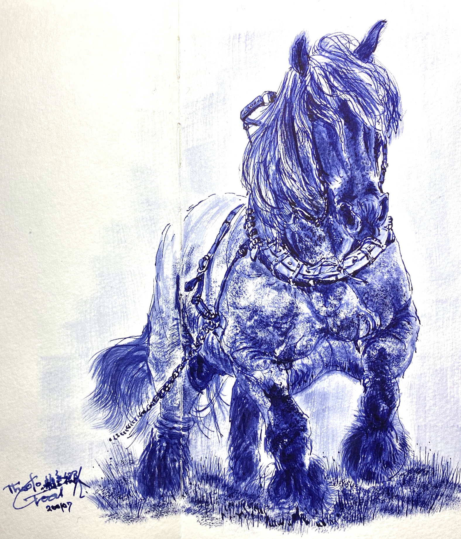 Draft Horse