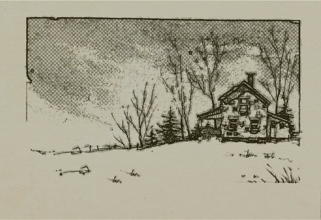 house in snowstorm
