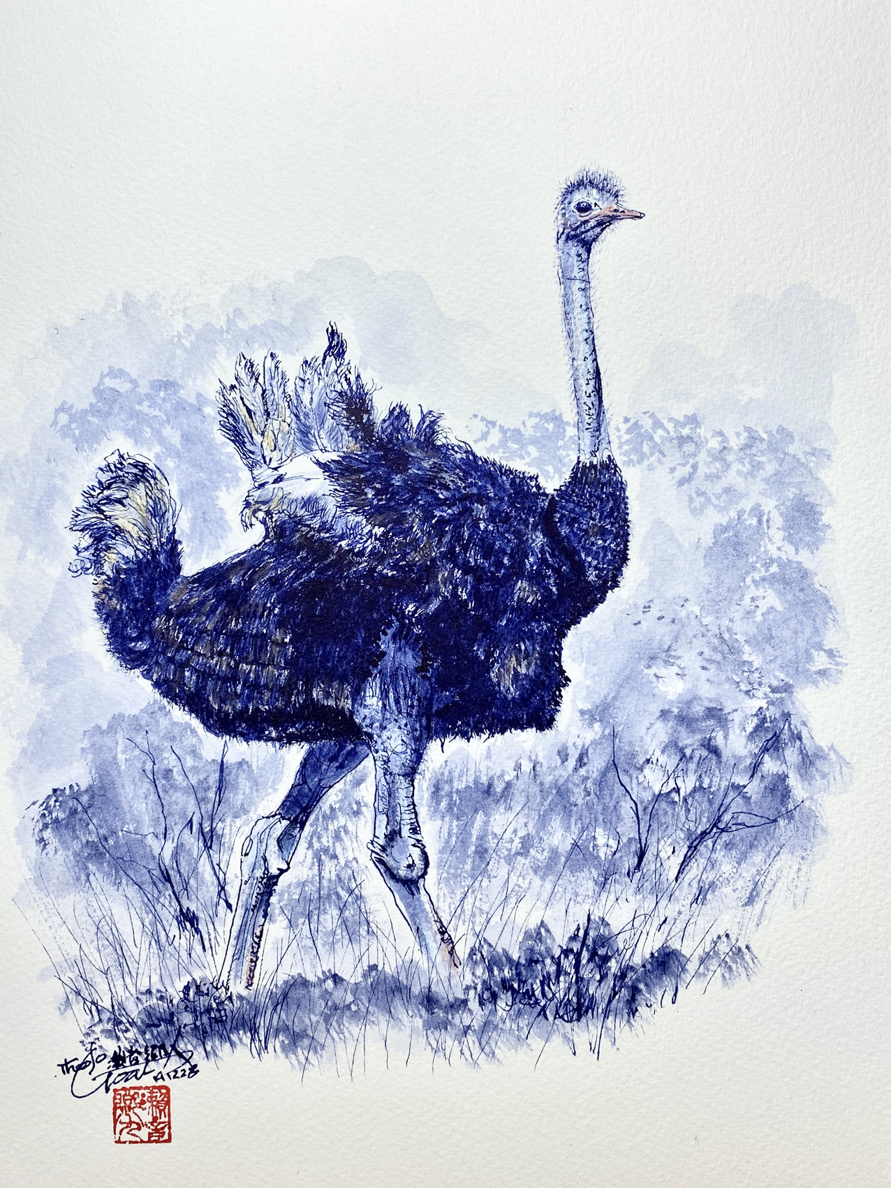 Ostrich