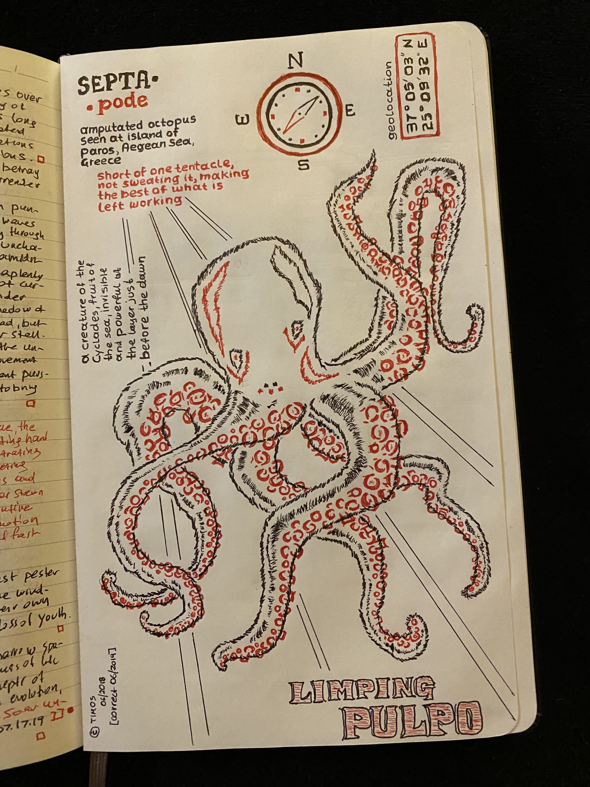 septapode / early beginnings