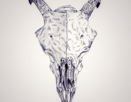 ram’s skull / half-shaded / 03.23.2020