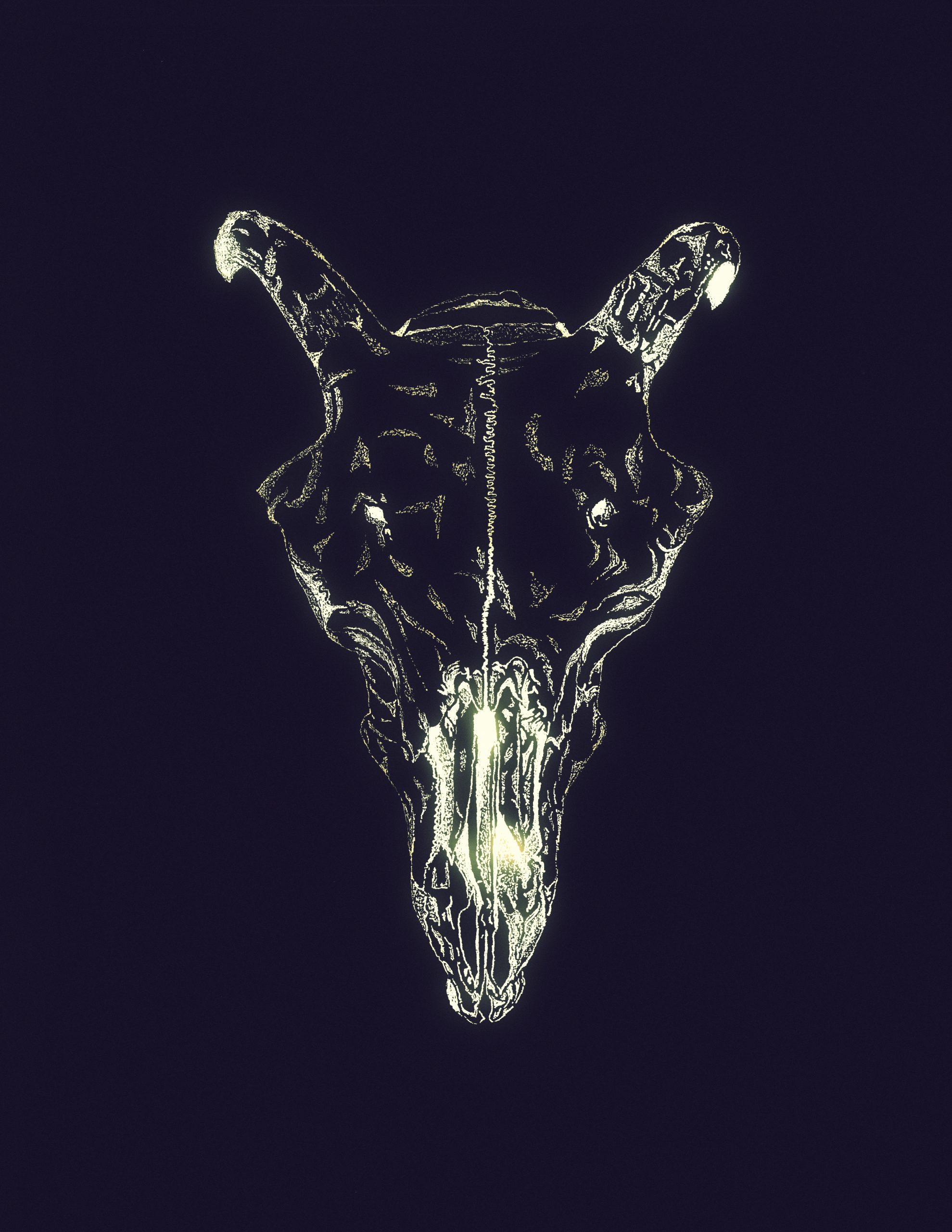 ram’s skull | Covid-19 edition